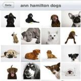 Download Flickr Cell Phone Software